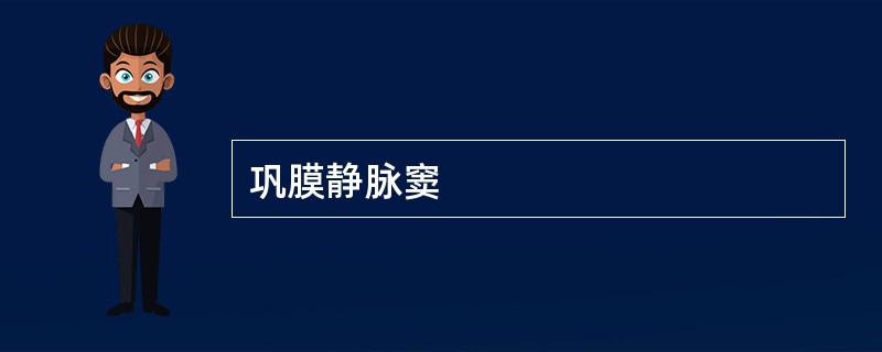 巩膜静脉窦