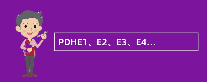PDHE1、E2、E3、E4分别放进下面SDH容器对应正确的是（）.