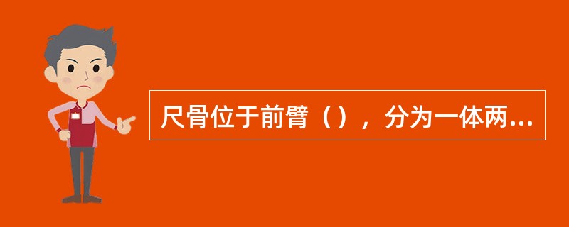 尺骨位于前臂（），分为一体两端。