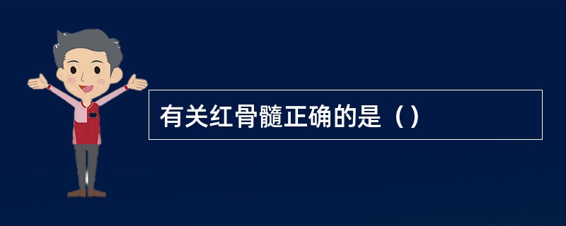 有关红骨髓正确的是（）