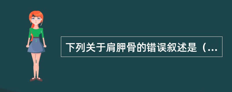 下列关于肩胛骨的错误叙述是（）。