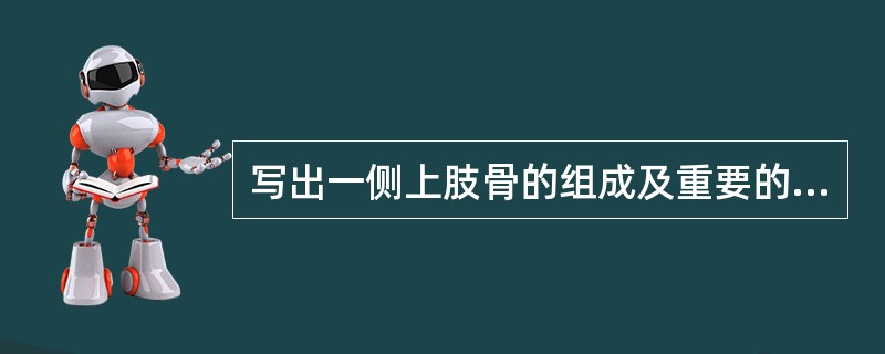 写出一侧上肢骨的组成及重要的骨性标志（至少六个）。