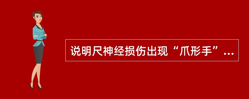 说明尺神经损伤出现“爪形手”的形态学基础。