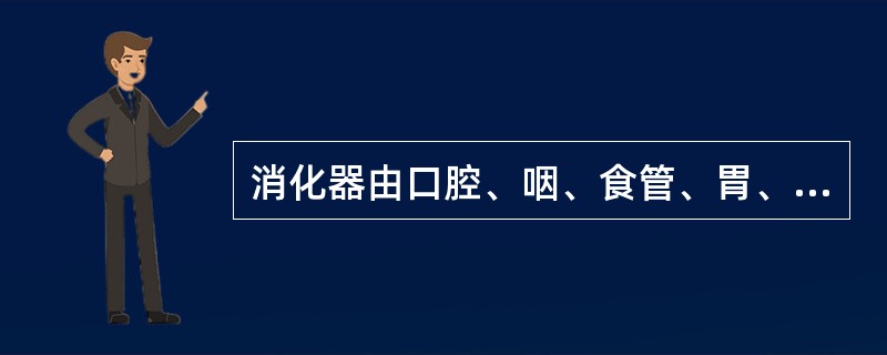 消化器由口腔、咽、食管、胃、小肠和大肠组成。（）