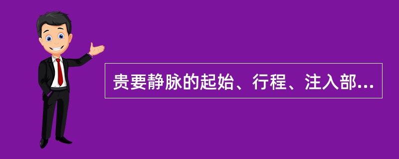 贵要静脉的起始、行程、注入部位。