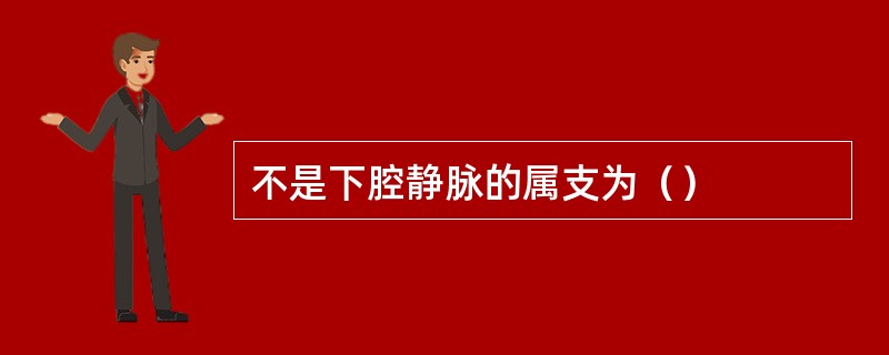 不是下腔静脉的属支为（）