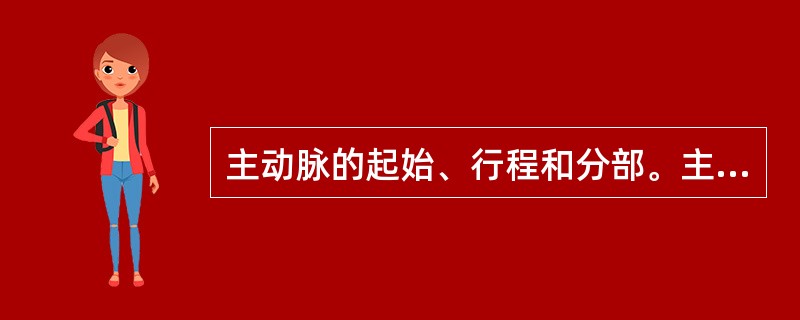 主动脉的起始、行程和分部。主动脉弓的分支。