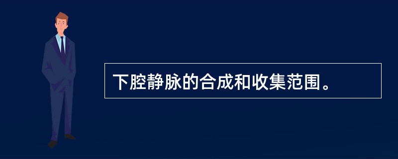 下腔静脉的合成和收集范围。