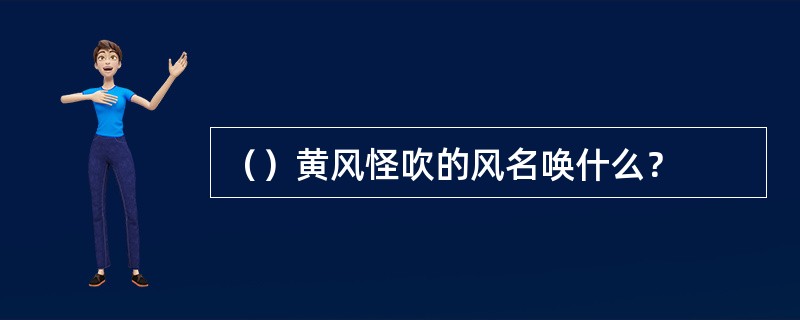（）黄风怪吹的风名唤什么？