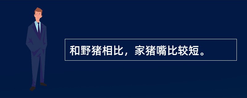 和野猪相比，家猪嘴比较短。