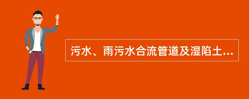 污水、雨污水合流管道及湿陷土、膨胀土、流砂地区的雨水管道，必须经（）合格后方可投