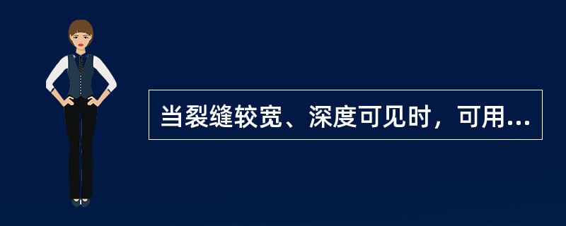 当裂缝较宽、深度可见时，可用探杆或（）进行探测裂缝深度。