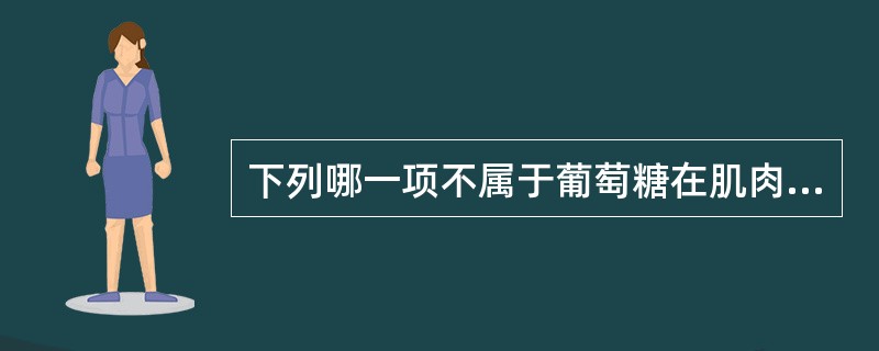 下列哪一项不属于葡萄糖在肌肉内的代谢（）