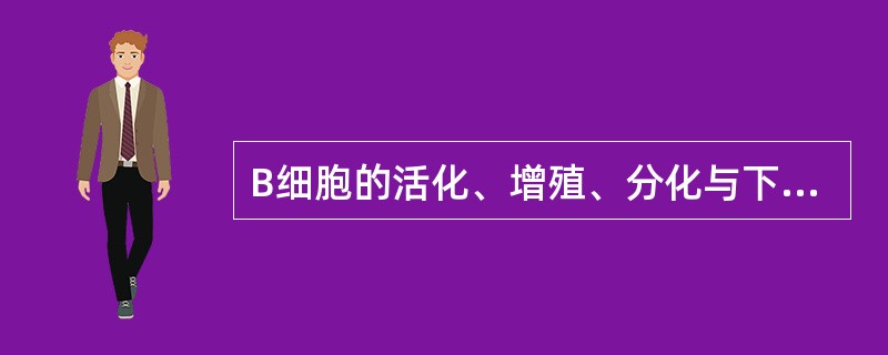 B细胞的活化、增殖、分化与下列哪组分子间的作用无关（）