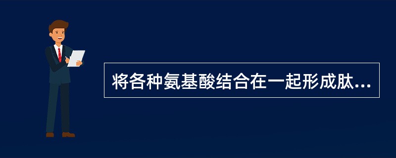 将各种氨基酸结合在一起形成肽链的键被称为（）
