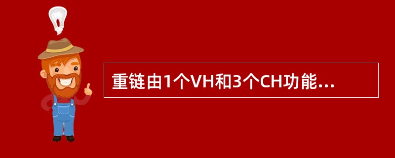 重链由1个VH和3个CH功能区组成的免疫球蛋白是（）
