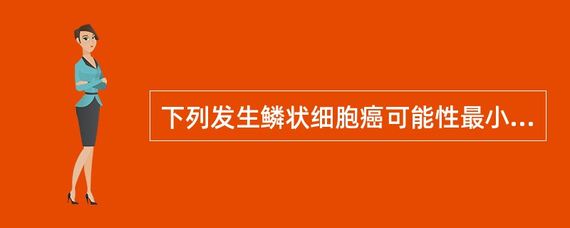 下列发生鳞状细胞癌可能性最小的部位是（）。