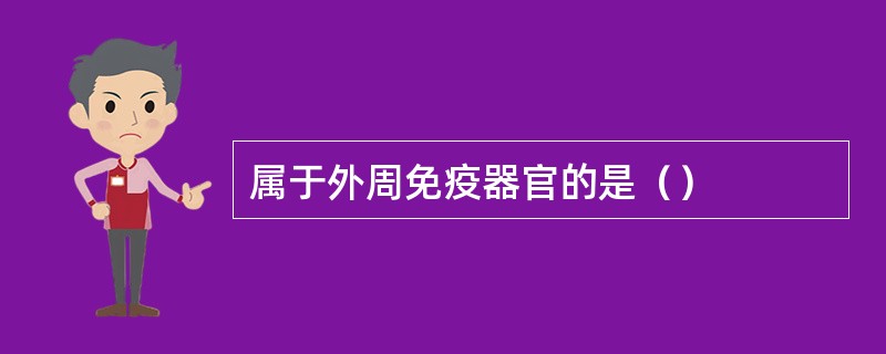 属于外周免疫器官的是（）