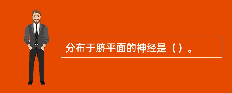 分布于脐平面的神经是（）。
