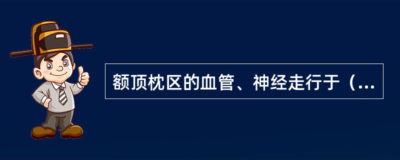 额顶枕区的血管、神经走行于（）。