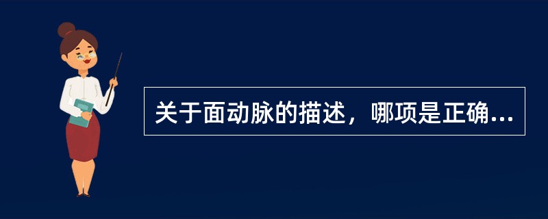 关于面动脉的描述，哪项是正确的？（）