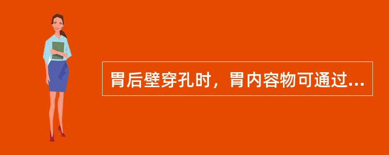 胃后壁穿孔时，胃内容物可通过什么途径达到何处？