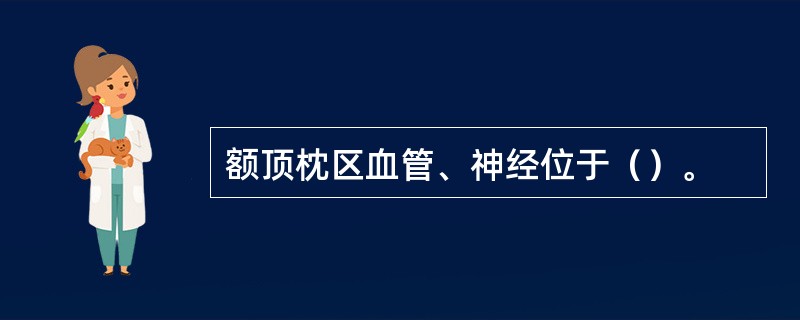 额顶枕区血管、神经位于（）。