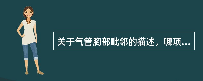 关于气管胸部毗邻的描述，哪项是错误的？（）