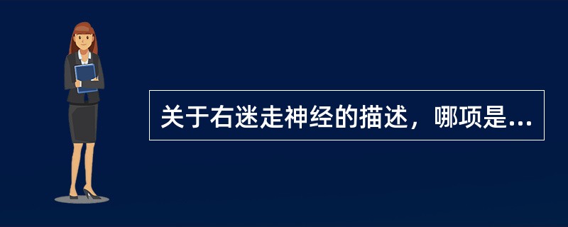 关于右迷走神经的描述，哪项是正确的？（）