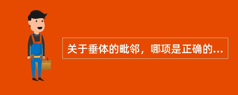 关于垂体的毗邻，哪项是正确的？（）