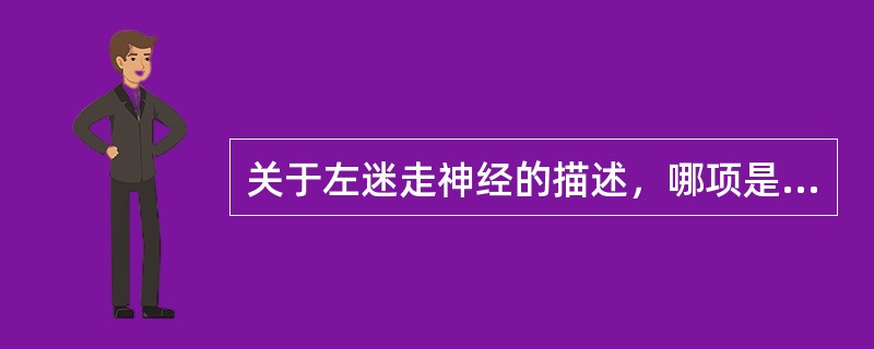 关于左迷走神经的描述，哪项是正确的？（）