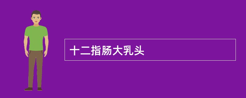 十二指肠大乳头