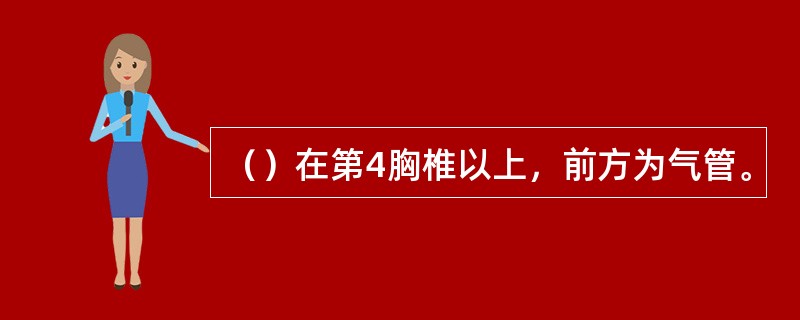 （）在第4胸椎以上，前方为气管。