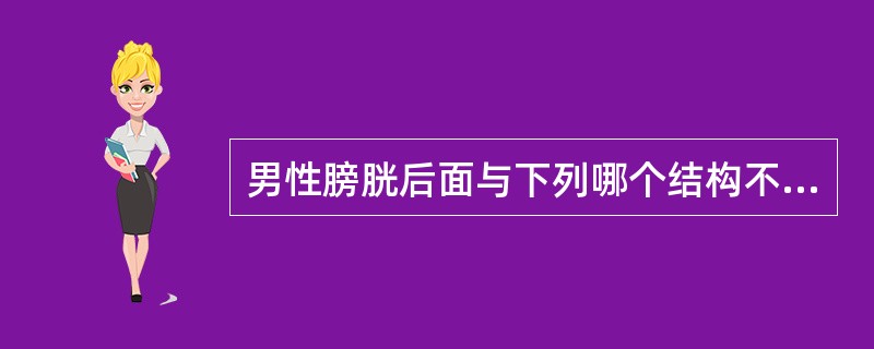 男性膀胱后面与下列哪个结构不相邻？（）