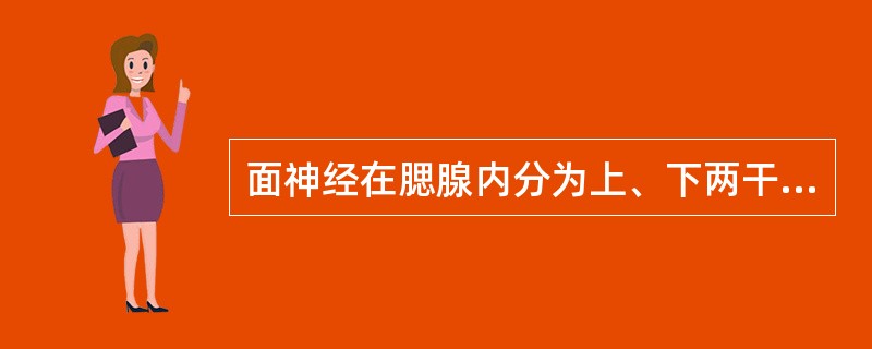 面神经在腮腺内分为上、下两干，再各分为数支并相互交织成丛，最后呈扇形分为（）、（