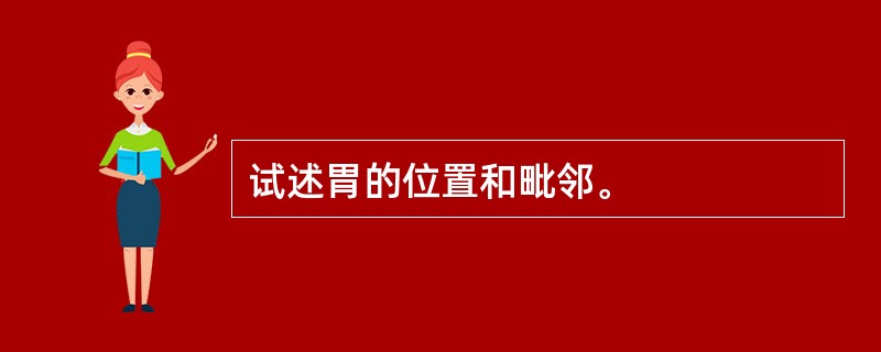 试述胃的位置和毗邻。