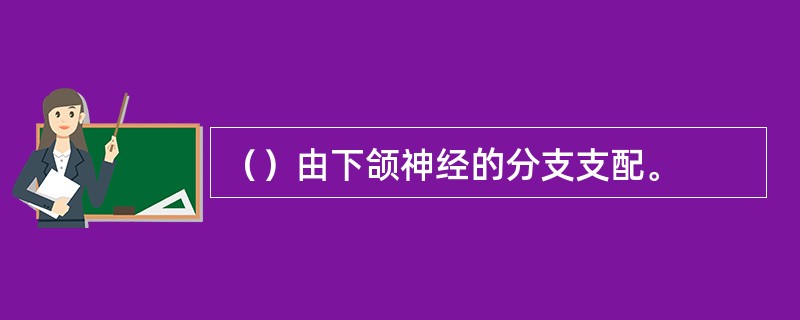 （）由下颌神经的分支支配。