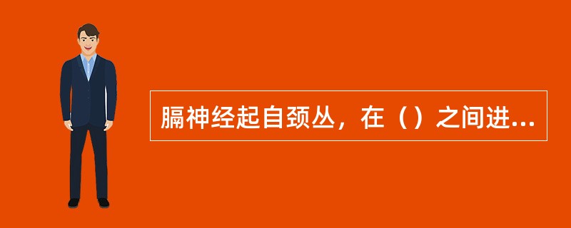 膈神经起自颈丛，在（）之间进入胸腔，经（）前方、（）之间下行至膈。