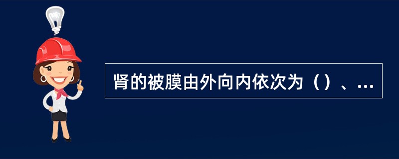 肾的被膜由外向内依次为（）、（）和（）。