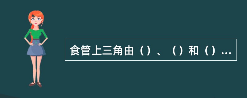 食管上三角由（）、（）和（）围成，内有（）和（）；食管下三角由（）、（）和（）围