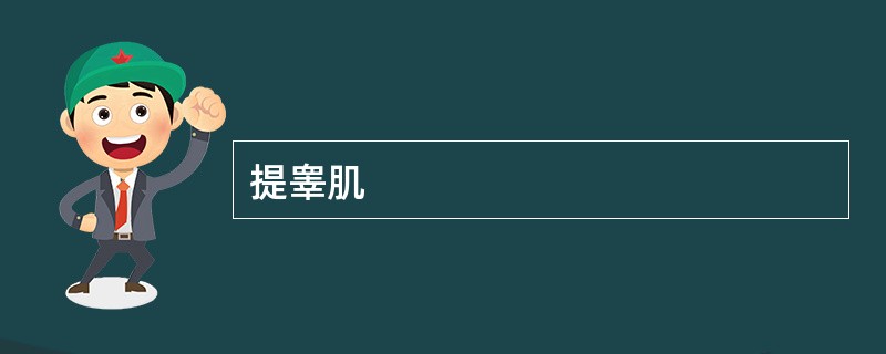 提睾肌
