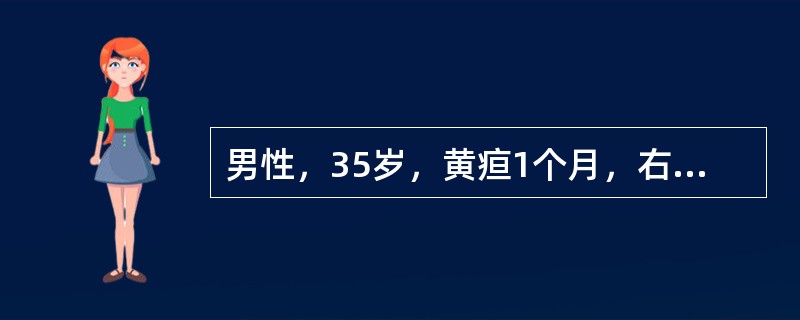 男性，35岁，黄疸1个月，右上腹轻微胀痛，食欲减退，经内科治疗无效。查体：肝大，