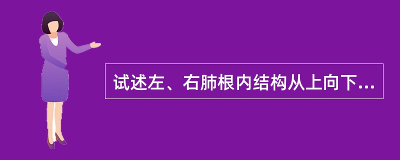 试述左、右肺根内结构从上向下，从前向后的排列关系。