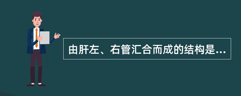 由肝左、右管汇合而成的结构是（）。