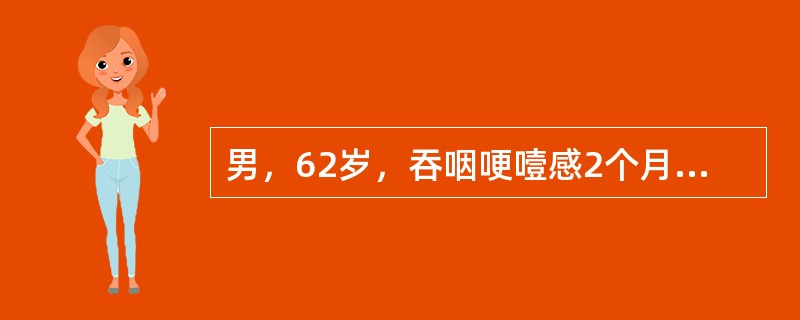 男，62岁，吞咽哽噎感2个月，人渐消瘦，临床高度怀疑食管癌。确诊的方法是（）。