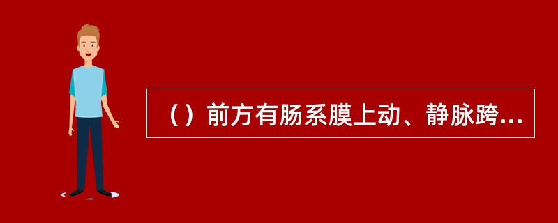 （）前方有肠系膜上动、静脉跨过。