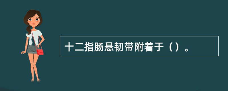 十二指肠悬韧带附着于（）。