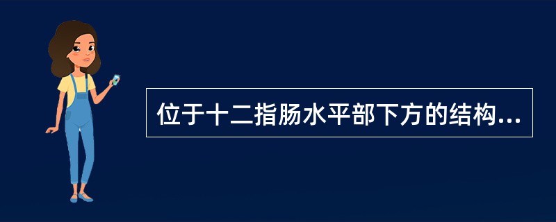 位于十二指肠水平部下方的结构是（）。