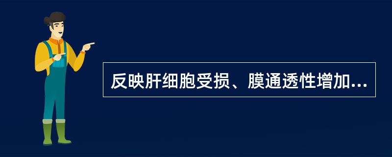 反映肝细胞受损、膜通透性增加的血清酶是（）