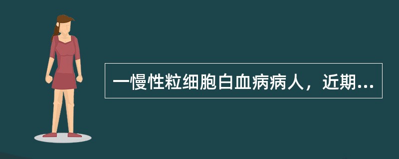 一慢性粒细胞白血病病人，近期出现高热、贫血，骨髓原始细胞0.12，用原来治疗有效